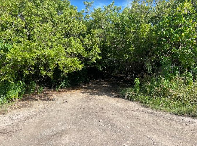 Bo Jauca Solar #7 Playa Clavelina Santa Isabel 00757 PR