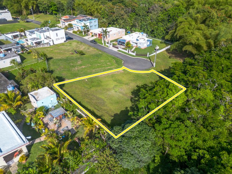 Carr 183 Bo Florida Camino De Via Lot 7 San Lorenzo 00754 PR