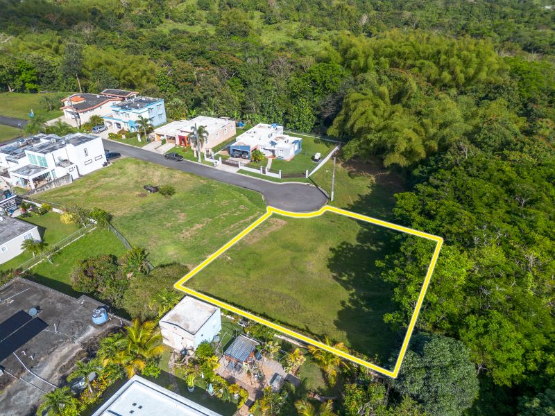 Carr 183 Bo Florida Camino De Via Lot 7 San Lorenzo 00754 PR