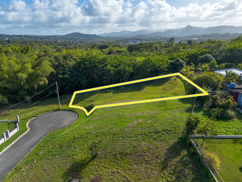 Carr 183 Bo Florida Camino De Via Lot 7 San Lorenzo 00754 PR