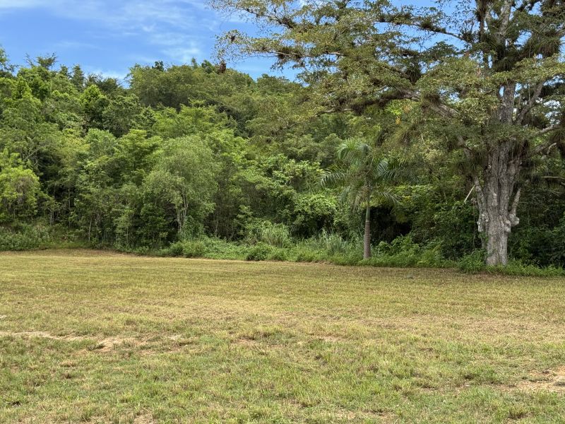 Pr 674 Km 1.9 Int Rio Abajo Vega Baja 00693 PR