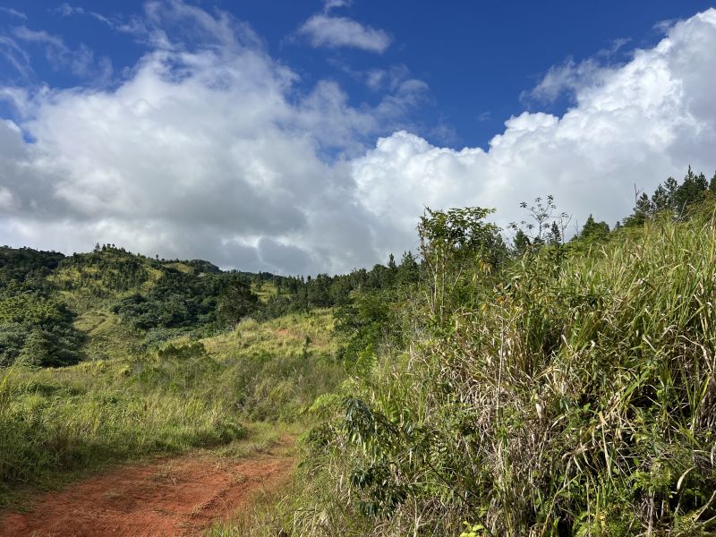 Bo Salto Carr 155 Km.hm 22.2 Orocovis 00720 PR