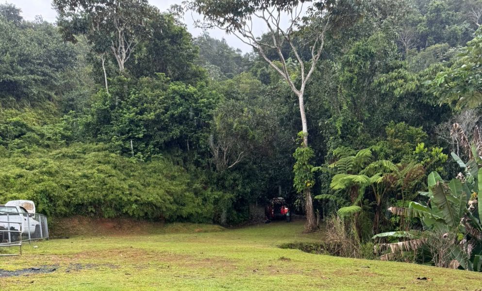 Solar 4 Carr 879 Km.hm 1.6 Bo Barrio Nuevo Bayamon 00956 PR