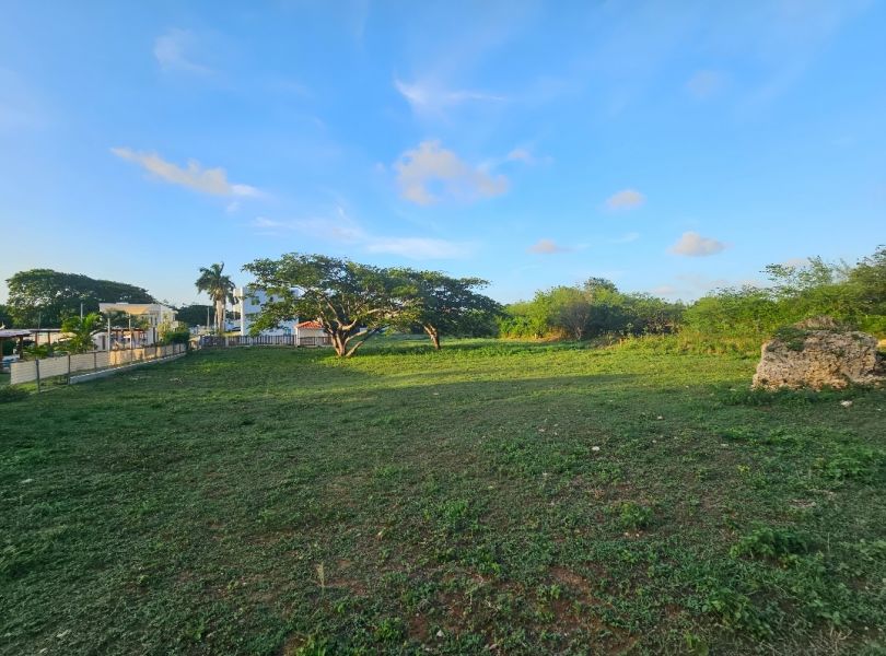 4466 Km 1.6 Bo Bajuras Isabela 00662 PR