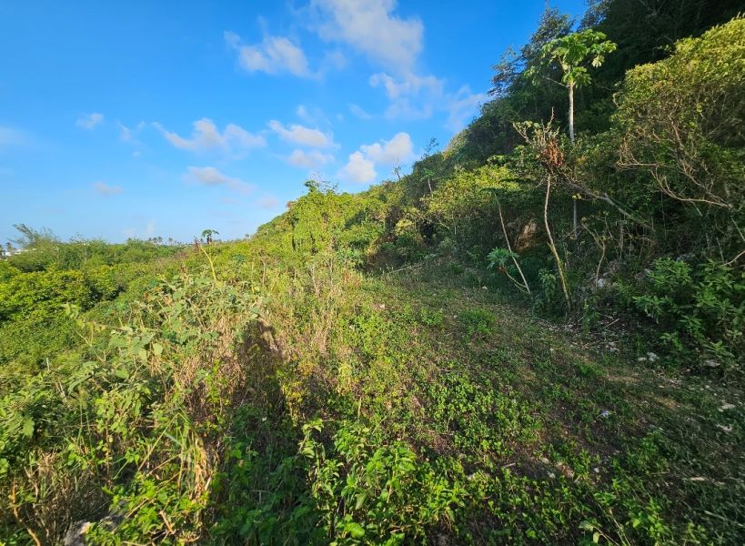 4466 Km 1.6 Bo Bajuras Isabela 00662 PR