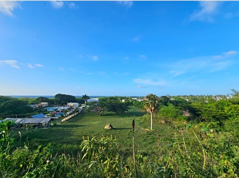 4466 Km 1.6 Bo Bajuras Isabela 00662 PR