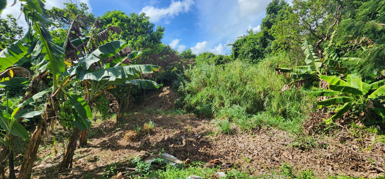 173 Carr 3 R760 Bo Emajaguas Mariani Maunabo 00707 PR