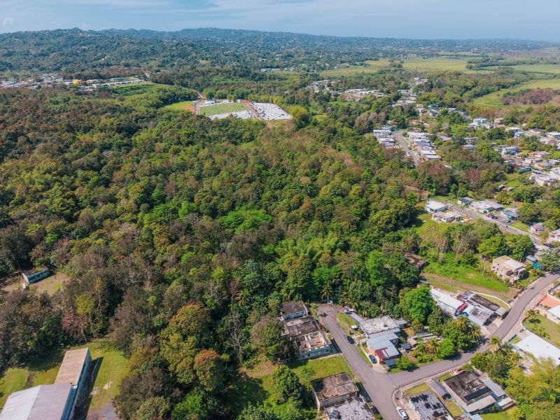 Bo Pueblo Comunidad Sabana Calle Profesor Daniel N Moca 00676 PR