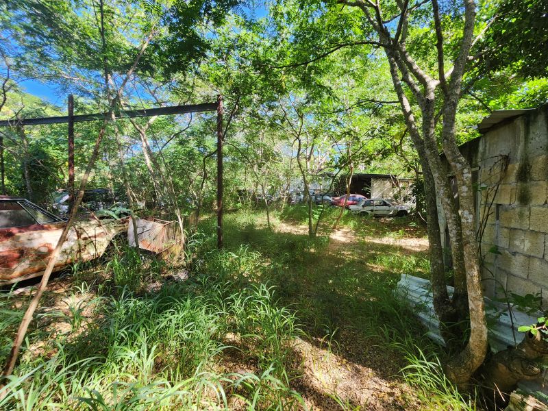 Bo Palomas Carr 116 Km 26.5 Yauco 00698 PR