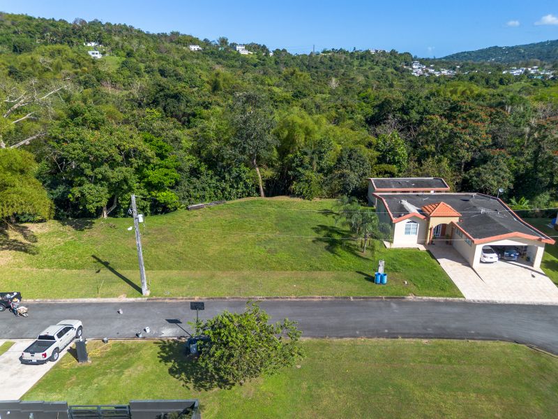 Carr 183 Bo Florida Camino De Via Lot 14 San Lorenzo 00754 PR