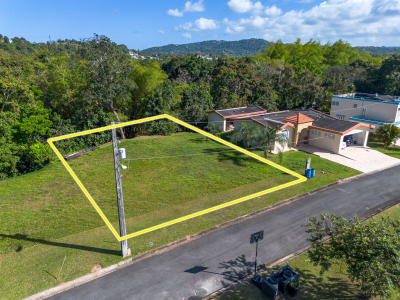 Carr 183 Bo Florida Camino De Via Lot 14 San Lorenzo 00754 PR