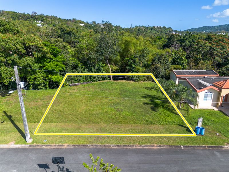 Carr 183 Bo Florida Camino De Via Lot 14 San Lorenzo 00754 PR