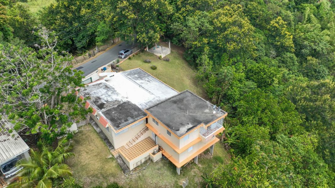 Carr 568 Km 28.9 Bo Padilla, Corozal - 25