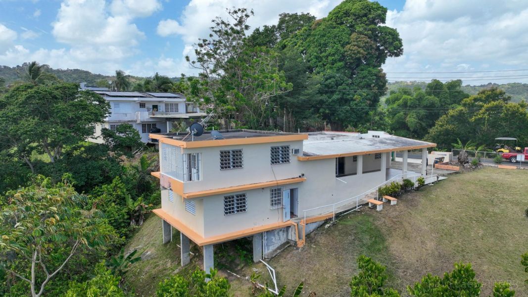Carr 568 Km 28.9 Bo Padilla, Corozal - 28