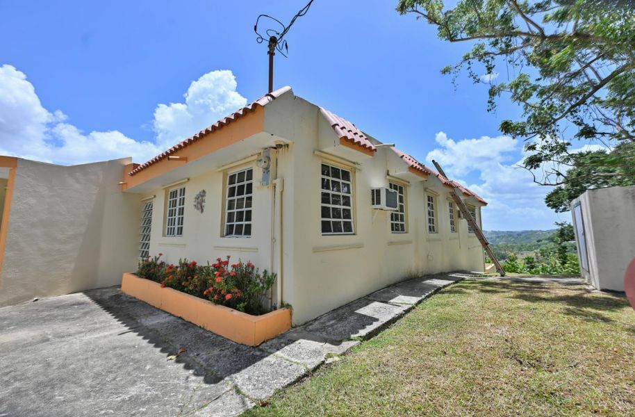 Carr 568 Km 28.9 Bo Padilla, Corozal - 23