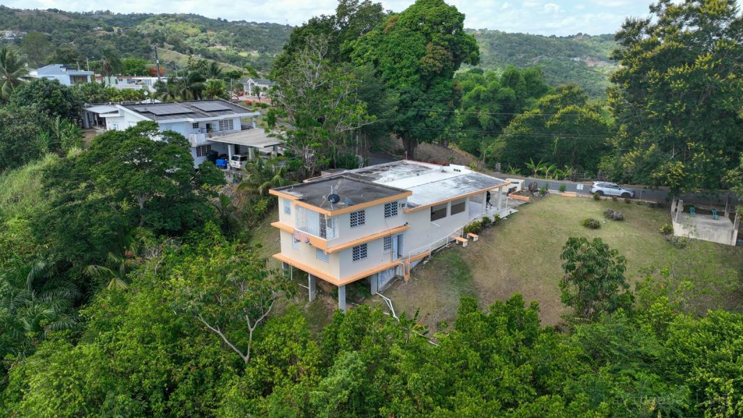 Carr 568 Km 28.9 Bo Padilla, Corozal - 30