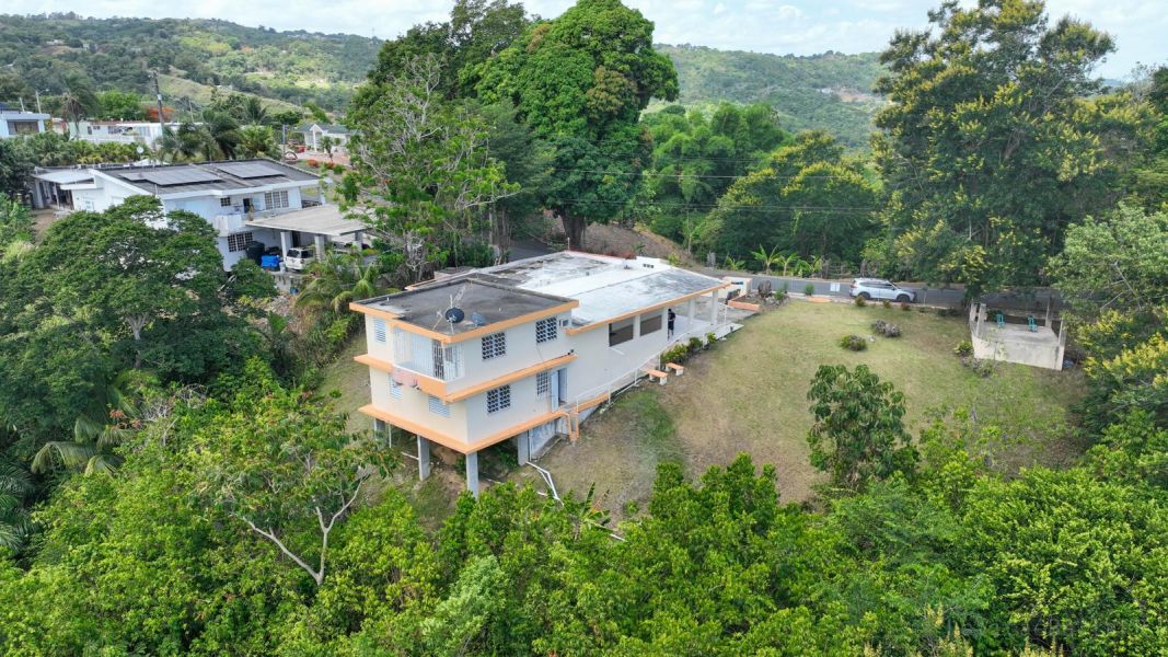 Carr 568 Km 28.9 Bo Padilla, Corozal - 29
