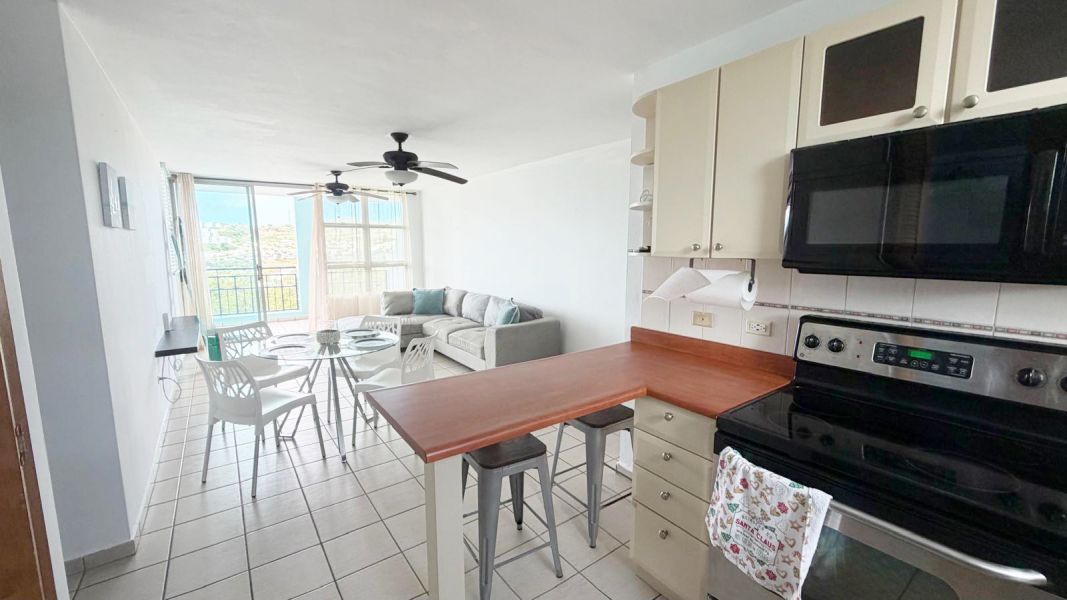 Cond Costa Brava Edif 2 301 Ext Santa Maria Ceiba 00735 PR