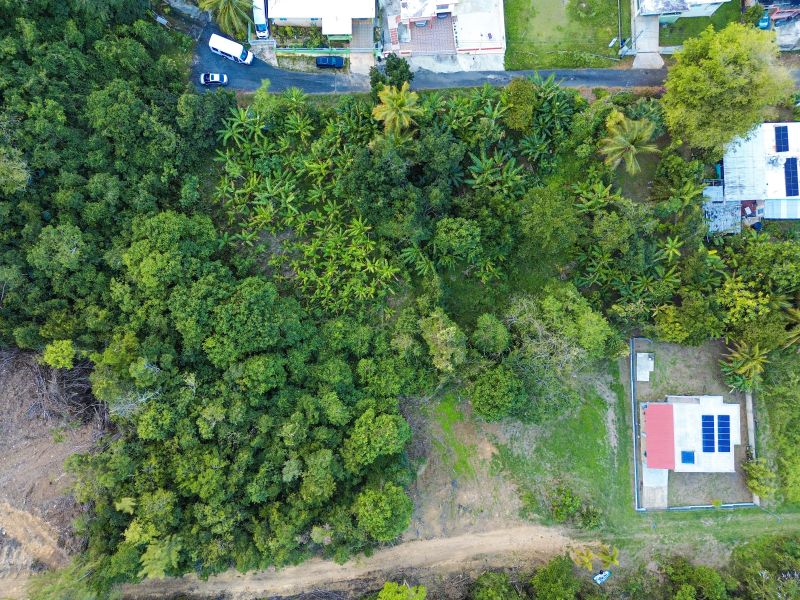 Bo Factor 2 Arecibo 00612 PR