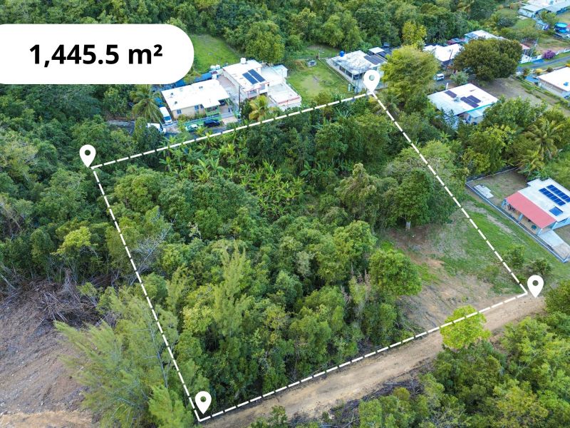 Bo Factor 2 Arecibo 00612 PR