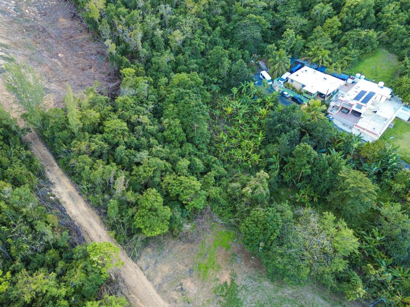 Bo Factor 2 Arecibo 00612 PR