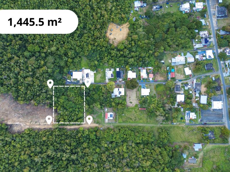 Bo Factor 2 Arecibo 00612 PR