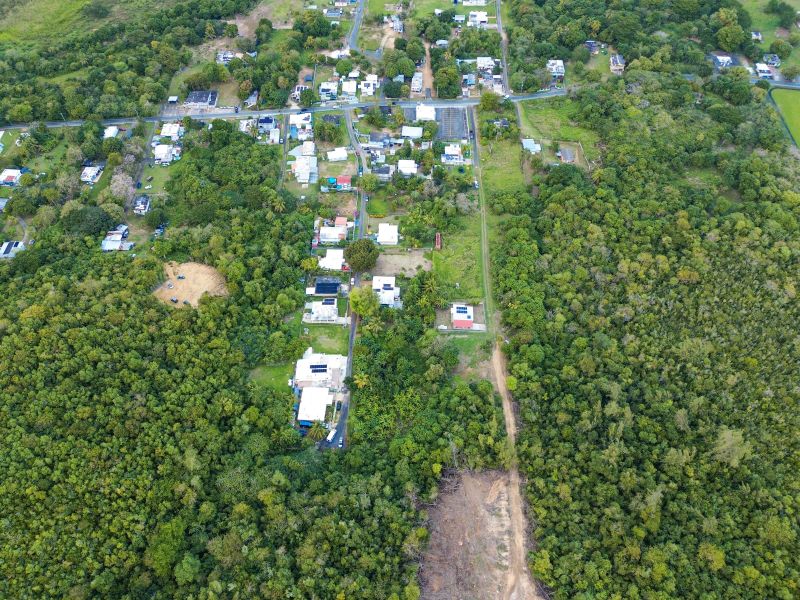 Bo Factor 2 Arecibo 00612 PR