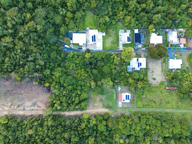 Bo Factor 2 Arecibo 00612 PR