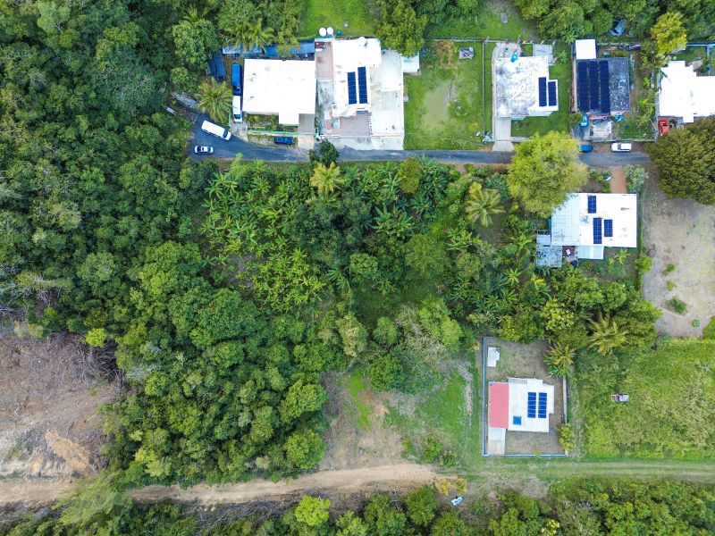 Bo Factor 2 Arecibo 00612 PR