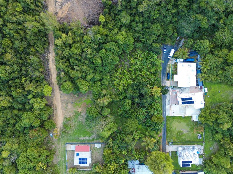 Bo Factor 2 Arecibo 00612 PR