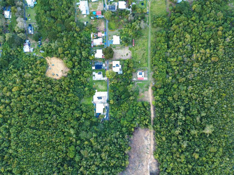 Bo Factor 2 Arecibo 00612 PR