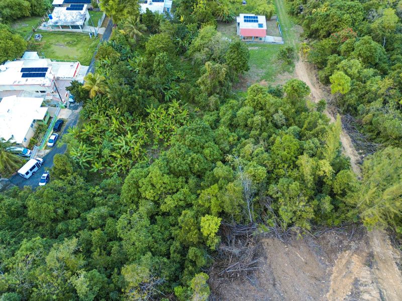 Bo Factor 2 Arecibo 00612 PR