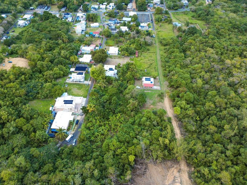 Bo Factor 2 Arecibo 00612 PR