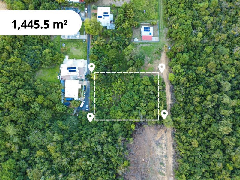 Bo Factor 2 Arecibo 00612 PR