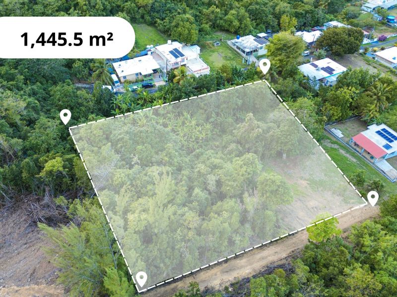 Bo Factor 2 Arecibo 00612 PR