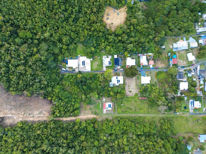 Bo Factor 2 Arecibo 00612 PR