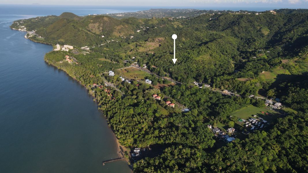 Carr 115 Km 4.8 Bo Caguabo Anasco 00610 PR