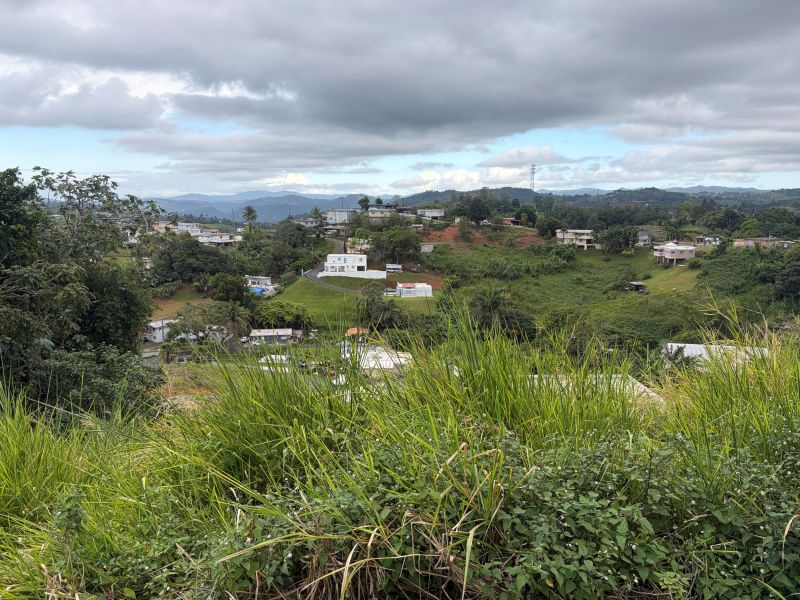 Carr 152 Km 7.6 Interior Bo Quebradillas Sec Faral Barranquitas 00794 PR