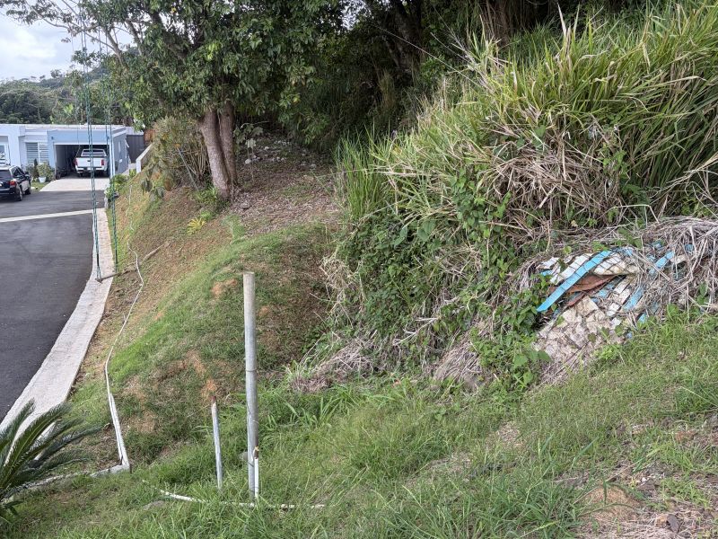 Carr 152 Km 7.6 Interior Bo Quebradillas Sec Faral Barranquitas 00794 PR