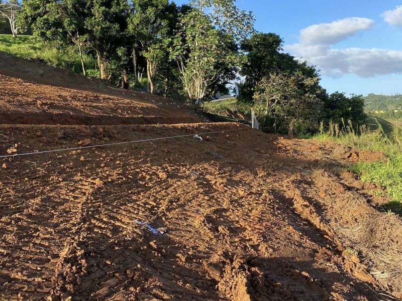 Carr 152 Km 7.6 Interior Bo Quebradillas Sec Faral Barranquitas 00794 PR