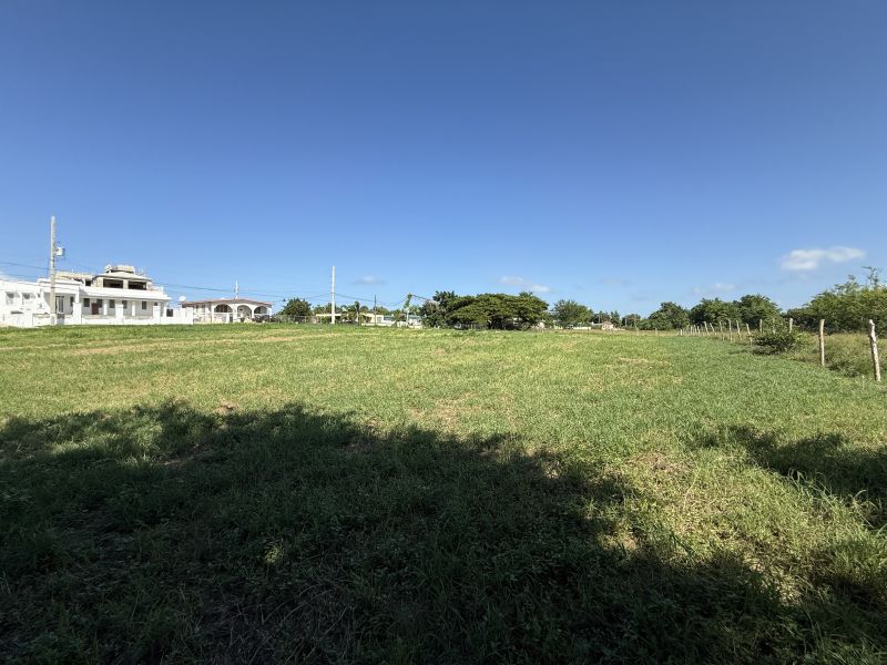 Bo Mora #7 Isabela 00662 PR