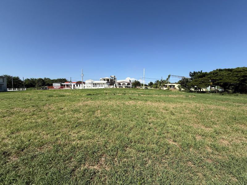 Bo Mora #7 Isabela 00662 PR