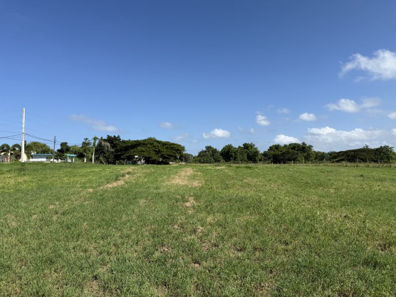 Bo Mora #7 Isabela 00662 PR