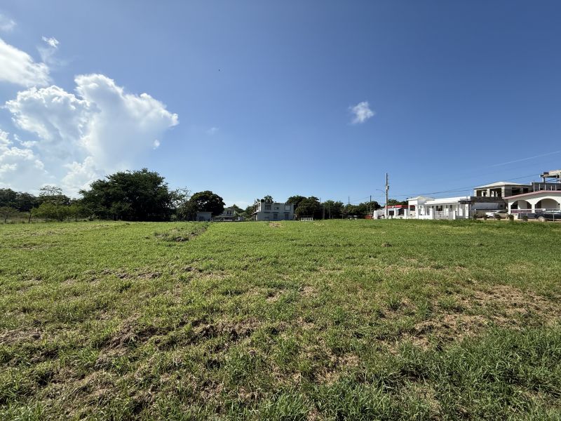 Bo Mora #7 Isabela 00662 PR