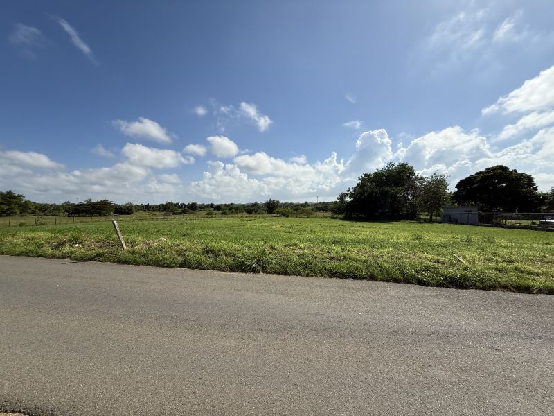 Bo Mora #7 Isabela 00662 PR