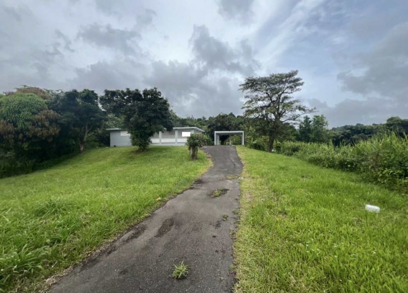 Bo Cubuy Carr 186 Km 9.7 Canovanas 00729 PR