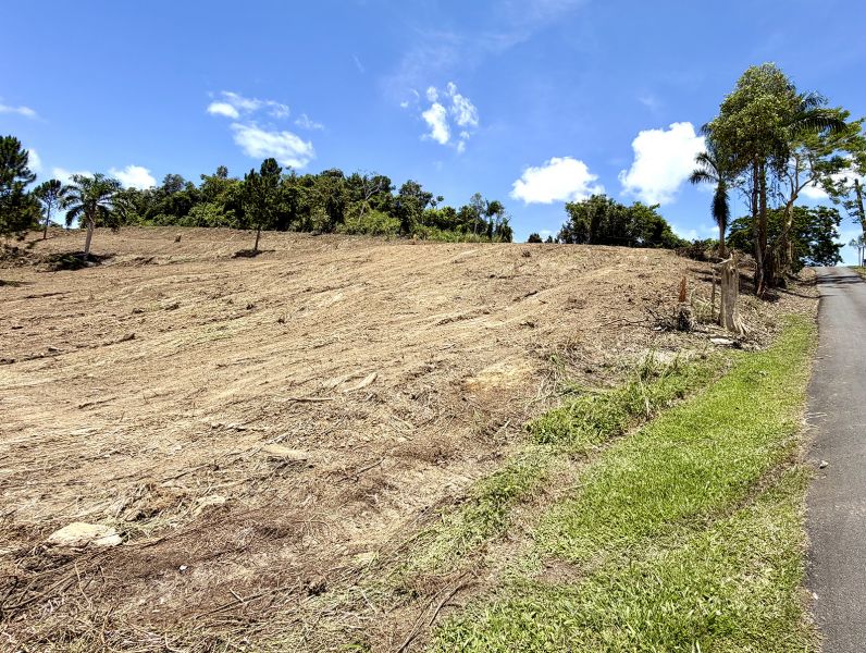 Bo Arenas Sec Vista Alegre Carr Pr 734 Km 5.5 Int, Cidra - 6