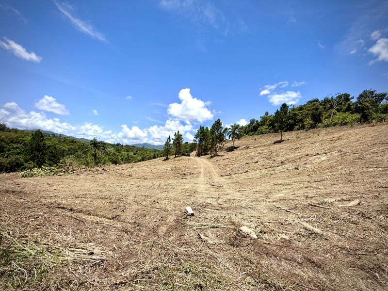 Bo Arenas Sec Vista Alegre Carr Pr 734 Km 5.5 Int, Cidra - 2