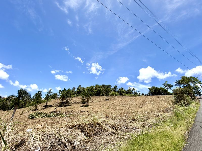 Bo Arenas Sec Vista Alegre Carr Pr 734 Km 5.5 Int, Cidra - 7