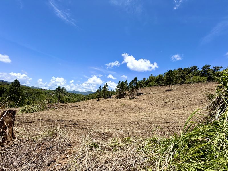 Bo Arenas Sec Vista Alegre Carr Pr 734 Km 5.5 Int, Cidra - 1